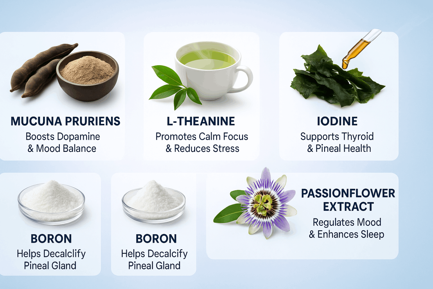 awaken-xt-ingredients